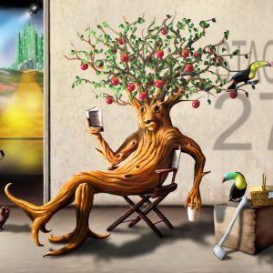 Bark, Lunch, and Apples