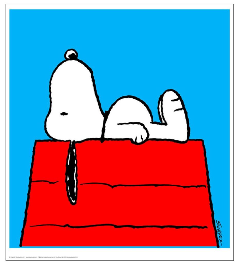Take A Moment (Snoopy)